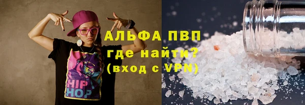 гашик Карпинск