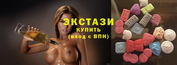 гашик Карпинск