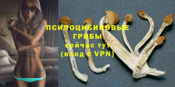 шишки Касимов