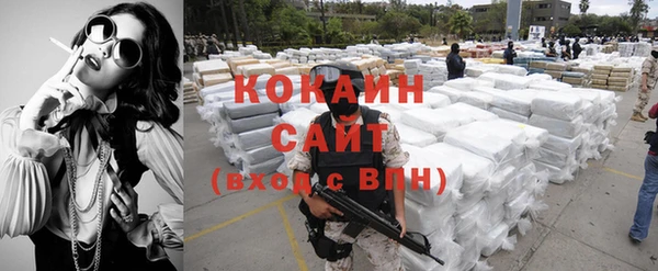 шишки Касимов