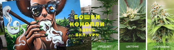 гашик Карпинск