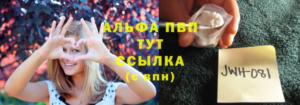 гашик Карпинск