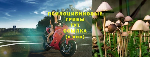 шишки Касимов