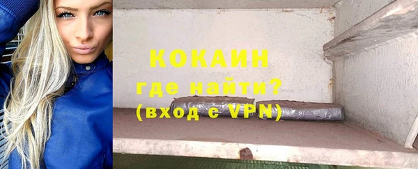 гашик Карпинск