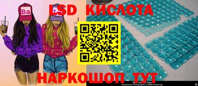 PSILOCYBIN Камышлов