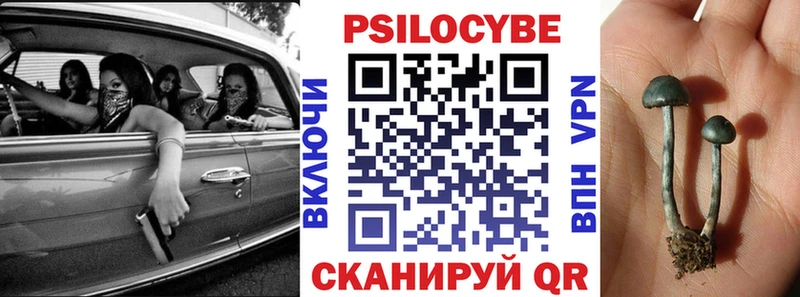 Псилоцибиновые грибы мицелий  Евпатория 