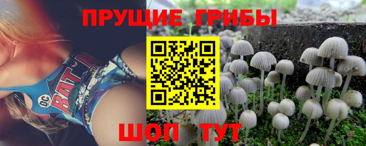 Псилоцибиновые грибы Magic Shrooms  Галлюциногенные грибы GOLDEN TEACHER  как найти закладки  Вход с VPN  Евпатория 